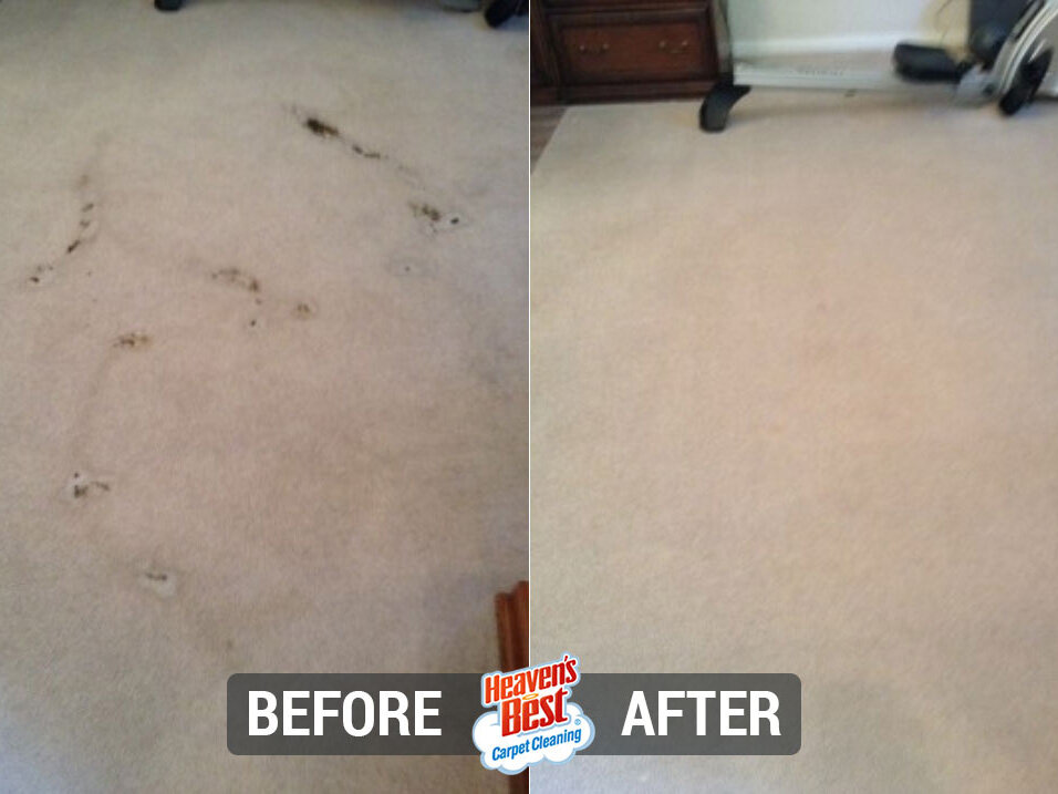 Heaven's Best Carpet Cleaning of Sheboygan WI
