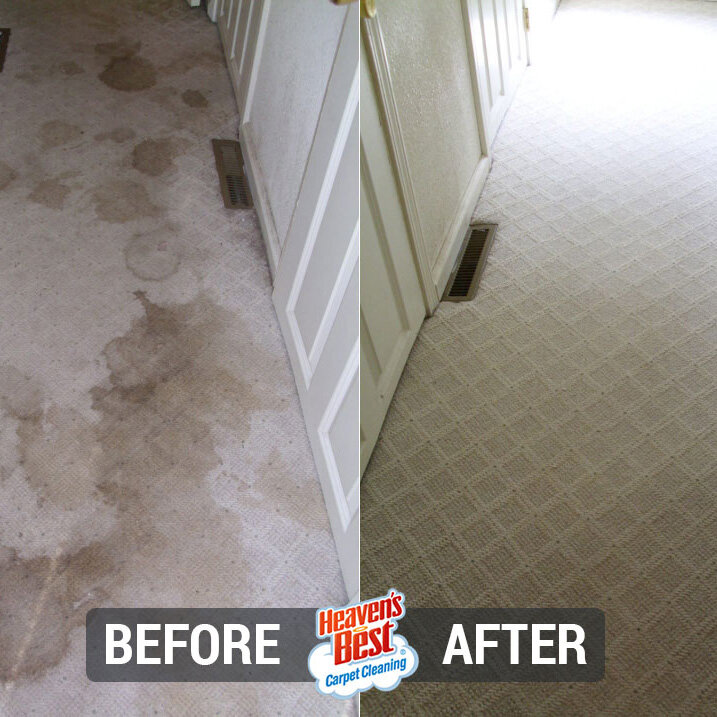 Heaven's Best Carpet Cleaning of Sheboygan WI